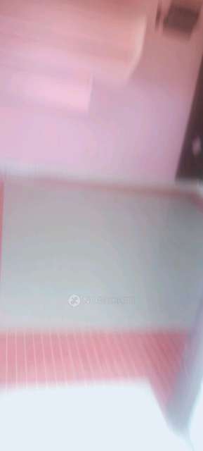 PG for Girls in Palayakaran Cross St