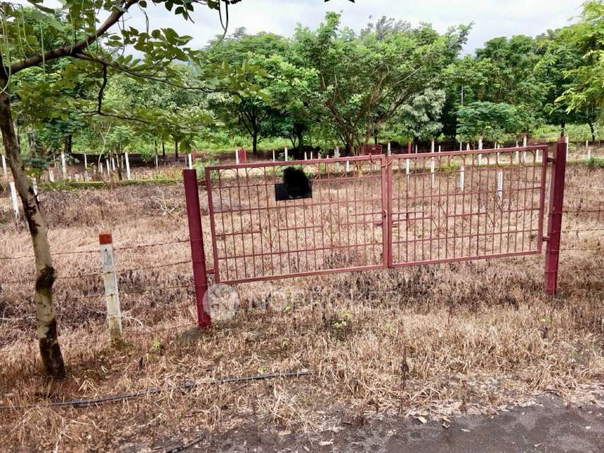 Plot For Sale  In Vikrant Emerald Project In Village Walkers 