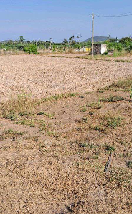 Plot For Sale  In Maraimalai Nagar, 