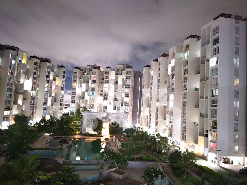 2 BHK Flat In Marvel Ganga Fria, Marvel Ganga Fria for Rent  In Marvel Ganga Fria