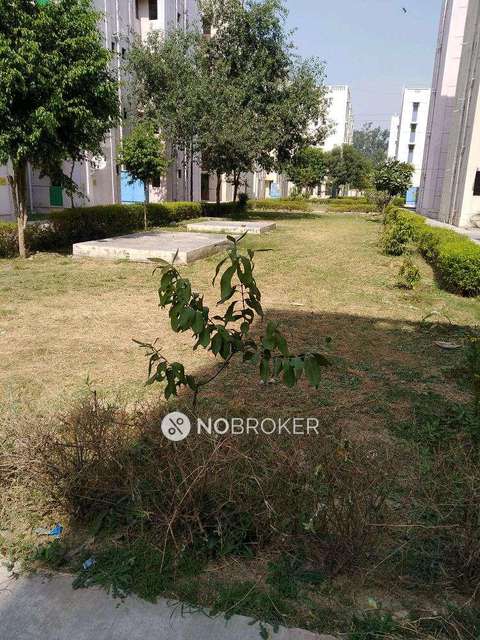 1 BHK Flat In Dda Lig Flats For Sale  In Sector 34