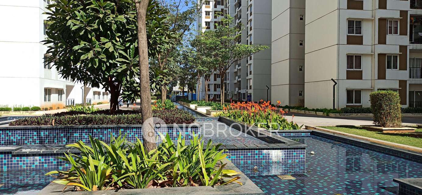 2 BHK Flat In Tata Value Homes New Haven For Sale  In Tata New Haven Apartment