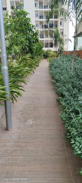 2 BHK Flat In Vtp Purvanchal for Rent  In Wagholi