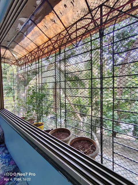 2 BHK Flat In Rajhans B Chs  For Sale  In Green Road