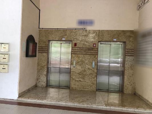 1 BHK Flat In Rahul Park for Rent  In Warje