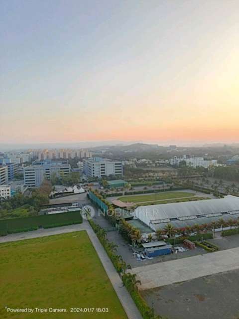 3 BHK Flat In Nyati Evolve Ii for Rent  In Block-a1