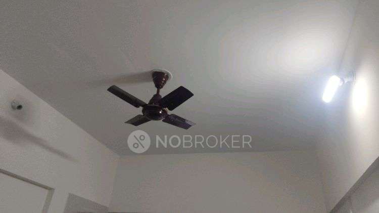 1 RK Flat In Nyati Elysia for Rent  In Kharadi