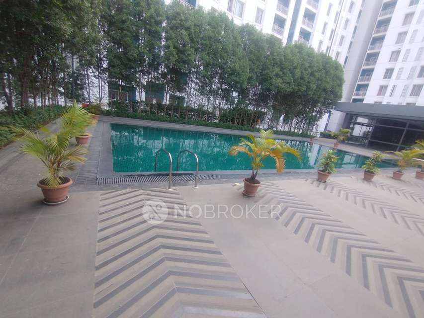 2 BHK Flat In Megapolis Symphony For Sale  In Hinjewadi