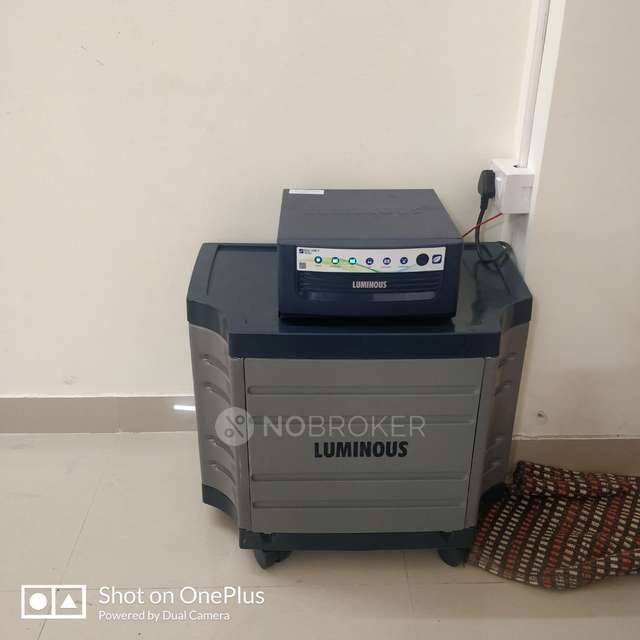 3 BHK Flat In Awho Vijay Vihar, Wagholi for Rent  In Wagholi