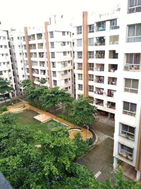 2 BHK Flat In Solacia for Rent  In Wagholi