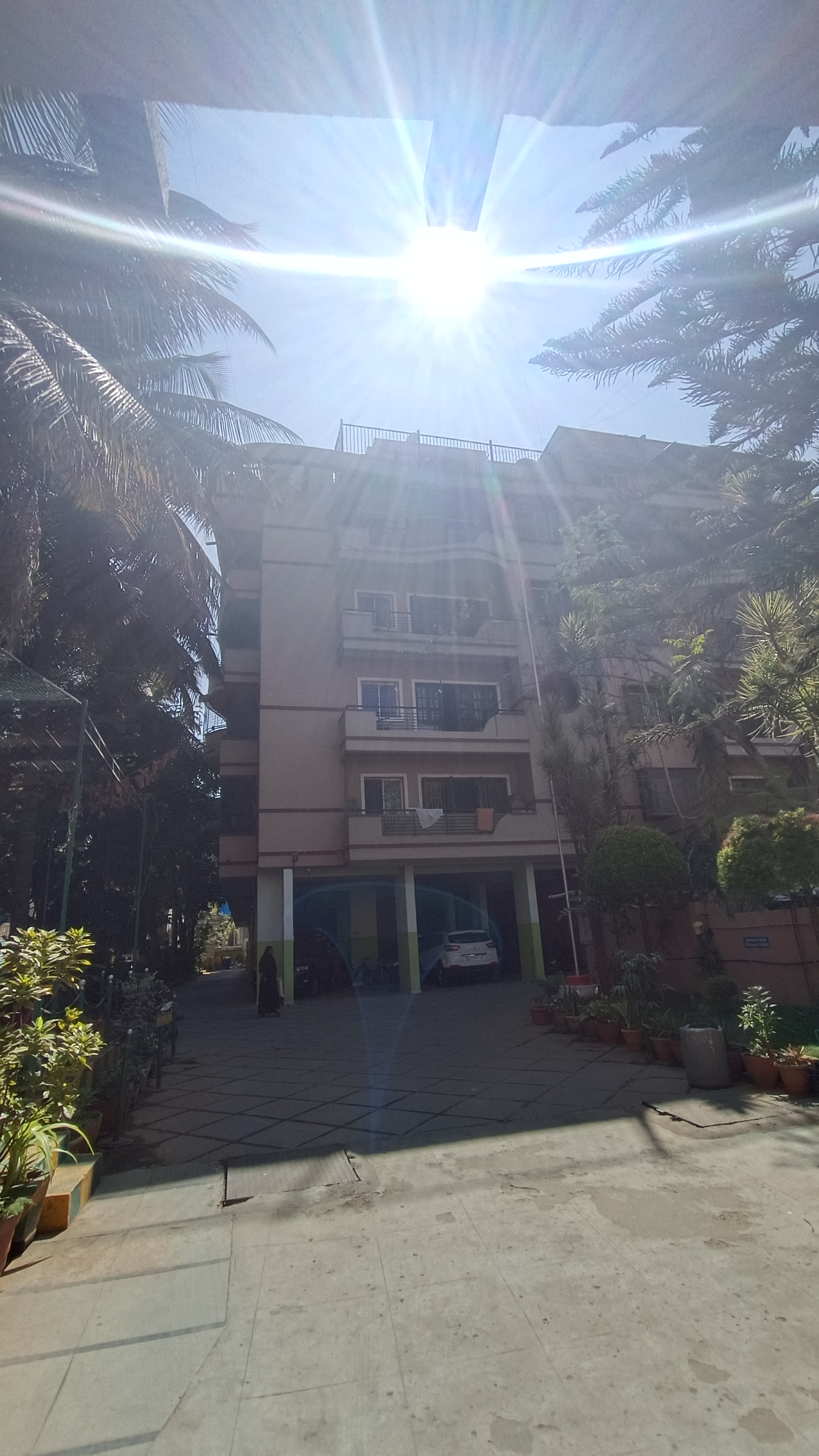 Infinite Nr Green Woods