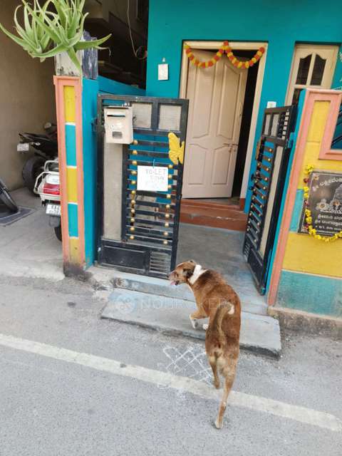 1 BHK House for Rent  In Vijaynagar