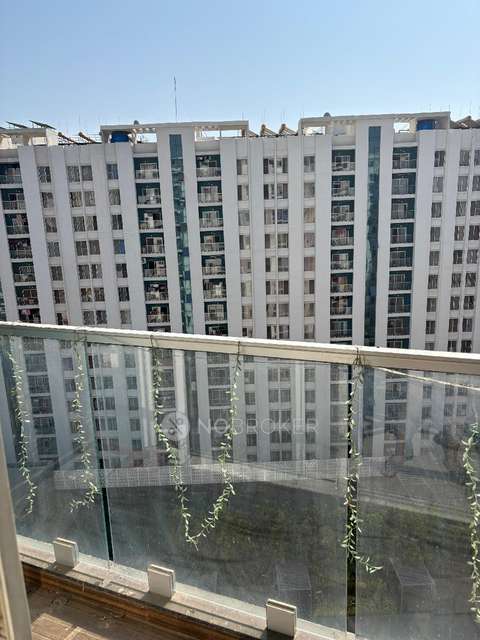 1 BHK Flat for Rent  In A4, Saffron