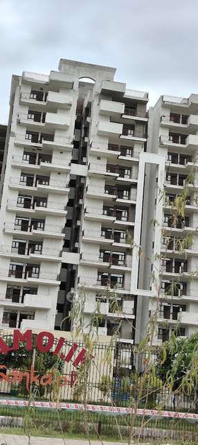 3 BHK Flat In Amolik Sankalp For Sale  In Sector 85