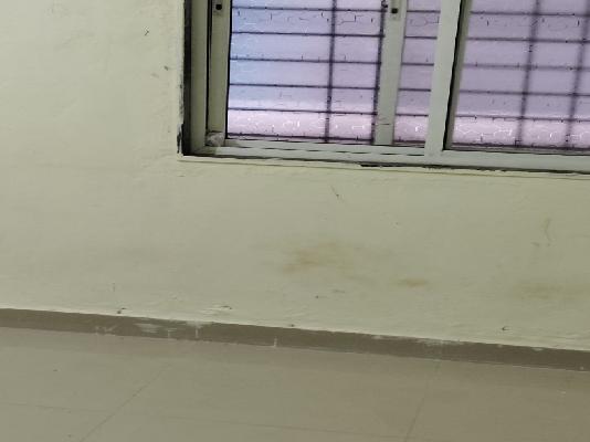 1 BHK Flat for Rent In Hinjewadi