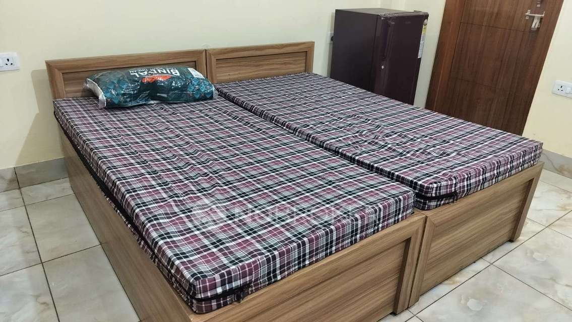 PG for Girls in Phi Iii