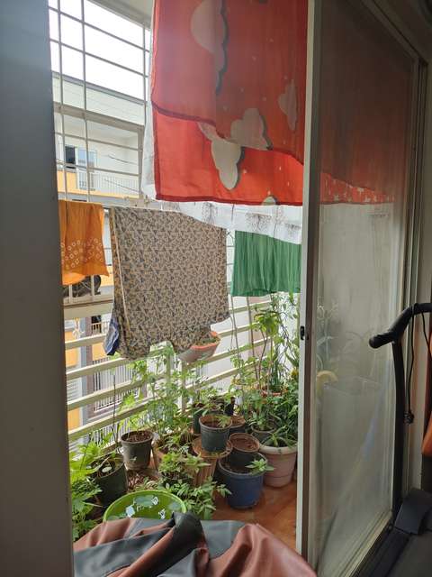 2 BHK Flat In Celebrity Pearl For Sale  In Electronic City