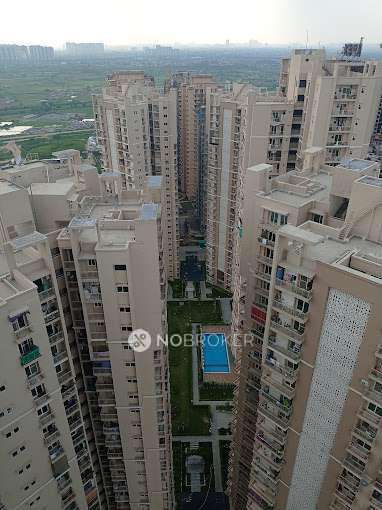 3 BHK Flat In Irish Infrastructure Private Limited for Rent  In Greater Noida