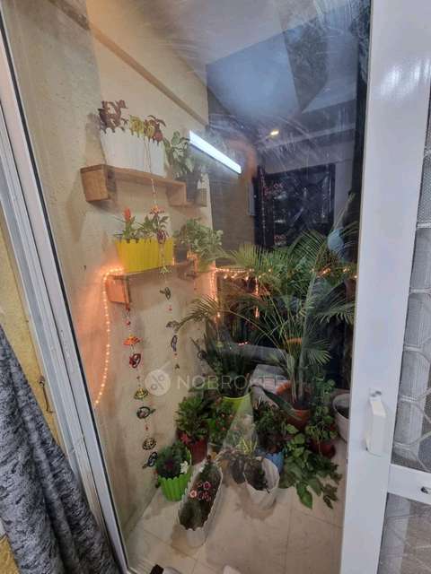 PG for Anyone in Prateek Grand Carnesia