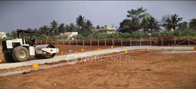 2 BHK House For Sale  In Xhcv+jrp Call-98i3i5253o, Kg Halli, D&#39; Souza Layout, Ashok Nagar, Bengaluru, Karnataka 560001, India