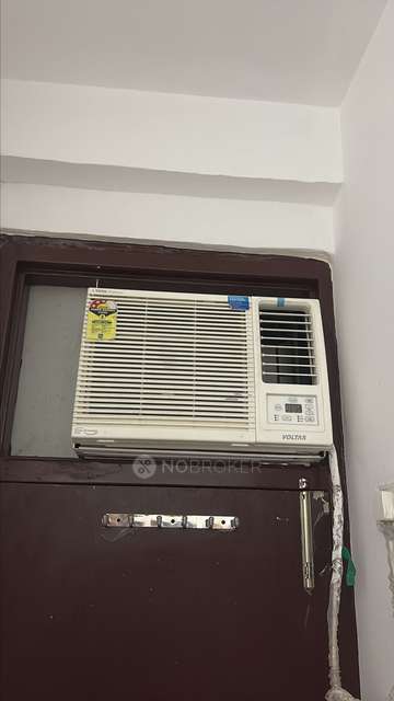 PG for Anyone in Sector 68