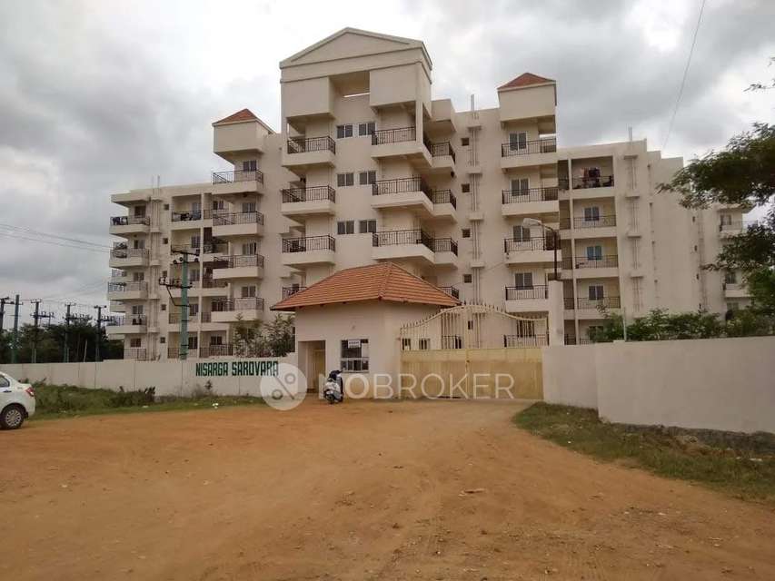 2 BHK Flat In Nisarga Building  for Rent  In Suryanagar