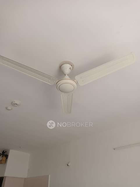 1 RK Flat In Paranjape Blue Ridge, Hinjewadi for Rent  In Hinjewadi