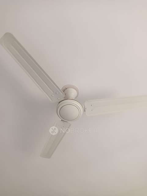 1 RK Flat In Paranjape Blue Ridge, Hinjewadi for Rent  In Hinjewadi