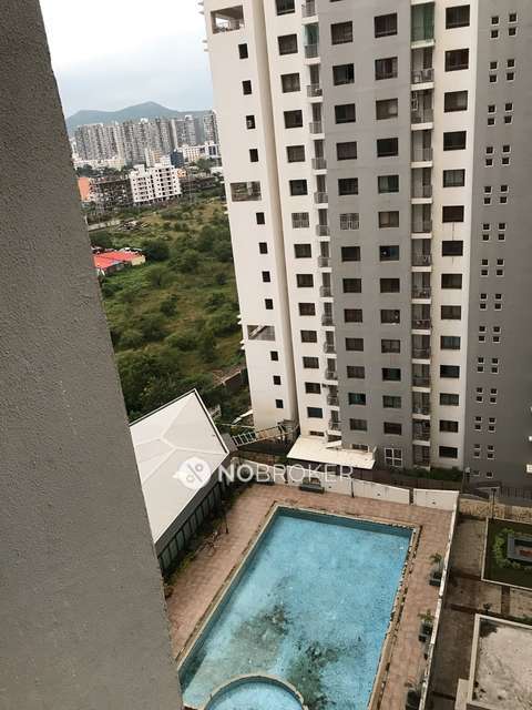 1 BHK Flat In Blue Ridge - Paranjpe Schemes for Rent  In Hinjawadi