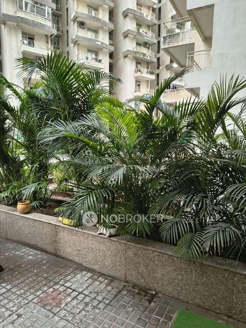 3 BHK Flat In Supertech Eco Village 1 For Sale  In Bisrakh