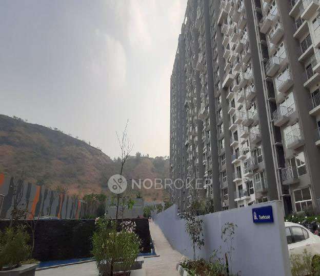 3 BHK Villa In Godrej Hillside for Rent  In Mahalunge