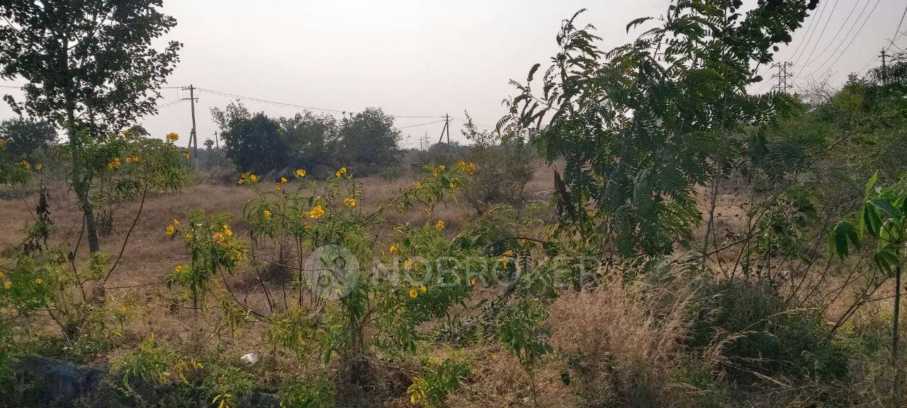Plot For Sale  In Peacock Feathers In Peacock Feather