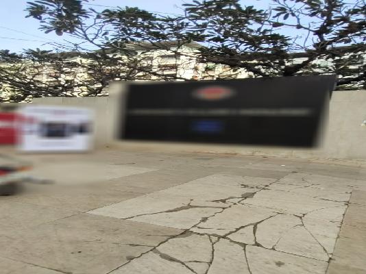 1 BHK Flat In E1 Rosemary Chs Limited For Sale  In Yogidham, Gauripada,  Kalyan West 