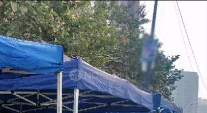 2 BHK Flat In Kohinoor Coral for Rent  In Hinjewadi