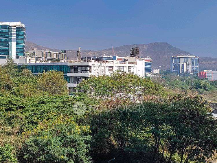 2 BHK Flat In Kohinoor Coral for Rent  In Hinjewadi