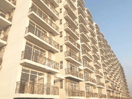 1 BHK Flat In Avl 36 Gurgaon for Rent  In Sector-36