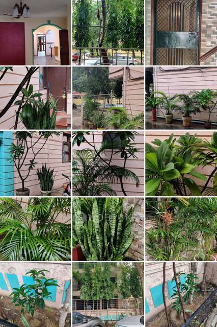 4 BHK Flat In Uppal Southend For Sale  In Sector 69