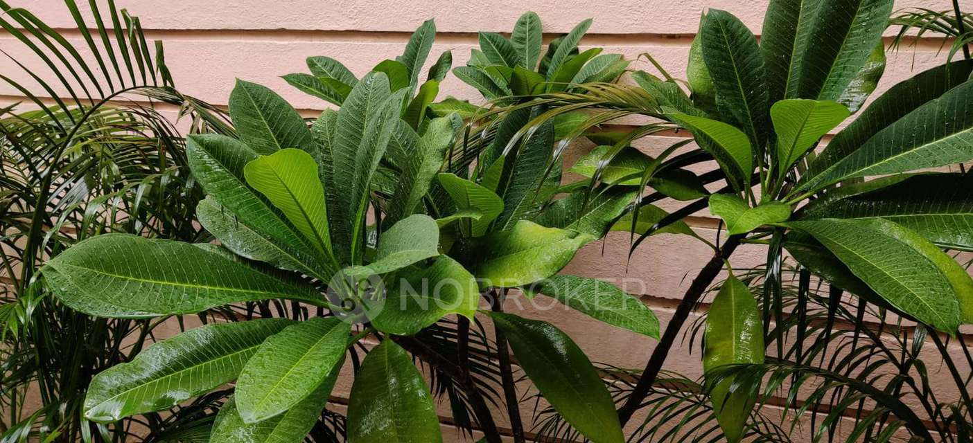 4 BHK Flat In Uppal Southend For Sale  In Sector 69