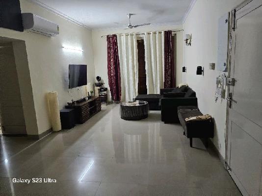 3 BHK Flat In Ansal Esencia Mulberry Homes for Rent  In A1147, Sector 67, Gurugram, Haryana 122101, India