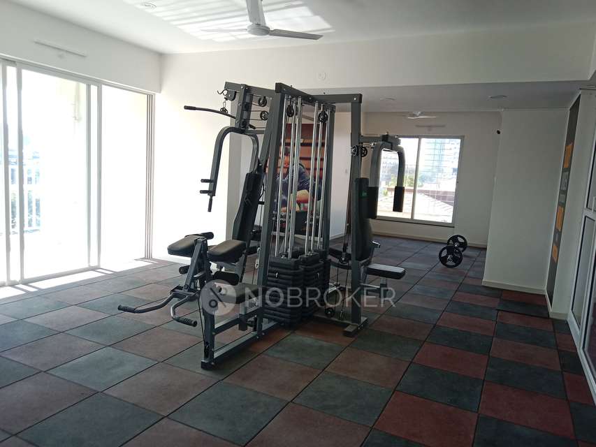 2 BHK Flat In Millennium Atlas for Rent  In  Tathawade