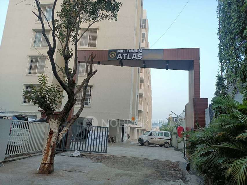 2 BHK Flat In Millennium Atlas for Rent  In  Tathawade