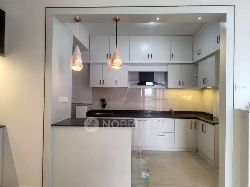 3 BHK Flat In  Orchid Piccadilly, Bangalore for Rent  In Bangalore