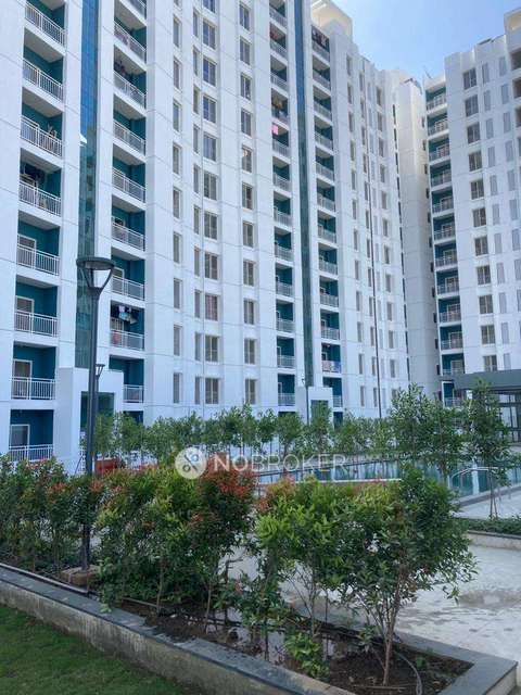 2 BHK Flat In Megapolis Springs  for Rent  In Hinjewadi