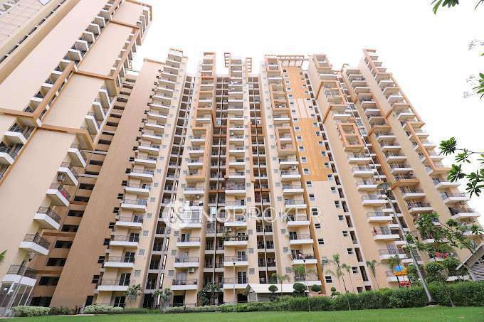 3 BHK Flat In Jesmine Groove for Rent  In Avantika Extension