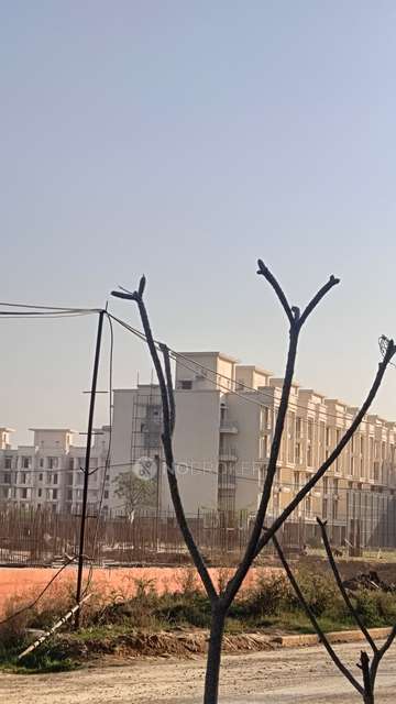 3 BHK Flat In Signature Global City 37d For Sale  In Sector 37d