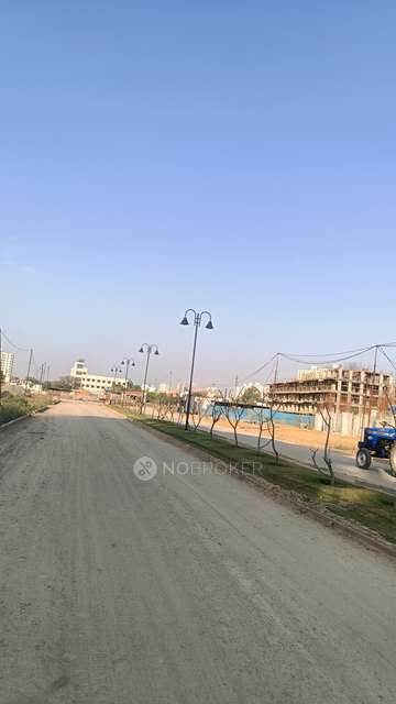 3 BHK Flat In Signature Global City 37d For Sale  In Sector 37d