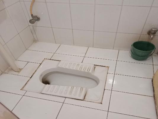 3 BHK Flat In Sai Darshan Park for Rent  In Pimpri-chinchwad