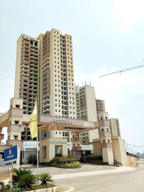 2 BHK Flat In Supertech Araville for Rent  In Sector 79