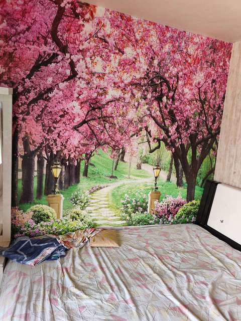 2 BHK Flat In Pearl Palladium Co. Housing Soc., Rahatani for Rent  In Rahatani