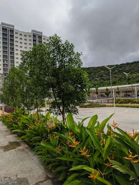 2 BHK Flat In The Cliff Garden For Sale  In Hinjawadi